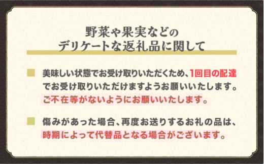 喜左衛門の春アスパラガス Lサイズ 1kg 5月上旬〜発送 令和8年産 2026年産 グリーンアスパラガス アスパラガス アスパラ 朝採り 山形県 尾花沢市  農家直送 産地直送  kz-vga1x1 Lサイズ1kg（寄附額15,000円）