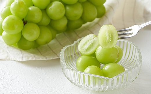 先行予約 シャインマスカット 西洋梨 秀品 詰め合わせ 計3kg  令和8年産  2026年産 令和8年産山形県産 送料無料 ぶどう 梨 洋梨 果物 フルーツ セット アソート ※沖縄・離島への配送不可 ns-fssyx3-b