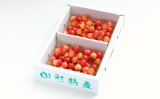 先行予約 フルーツ定期便 全5回 さくらんぼ 佐藤錦 尾花沢スイカ 桃 ラ・フランス りんご 令和8年産 2026年産 2026年6月~発送開始 サクランボ すいか 西瓜 桃 洋梨 梨 ラフランス リンゴ フルーツ 果物 定期便 お楽しみ 頒布会 ns-ft5xx-s-b