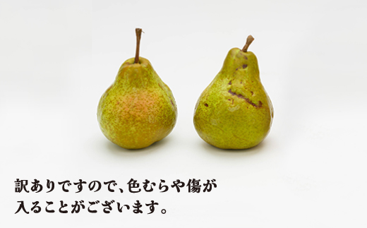 訳あり ラ・フランス 約5kg 令和7年産 2025年産 洋梨 フルーツ 果物 山形県 ns-laxxw5-a