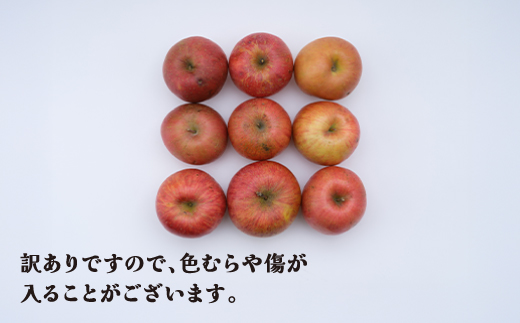 訳あり りんご サンふじ 約5kg 令和7年産 2025年産 12月上旬~1月中旬頃発送 山形県産  フルーツ 果物 ns-risfw5-a