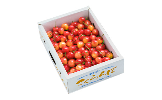 先行予約 さくらんぼ 佐藤錦 秀Mサイズ 600g(600g×1箱)  バラ詰め 2026年産  令和8年産 山形県産 ns-snsmb600