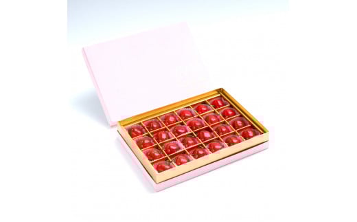 先行予約 加温 さくらんぼ 佐藤錦 特秀Lサイズ 24粒 150g 5月上旬~5月下旬頃発送  プレゼント ギフト チョコ箱入 2026年産 令和8年産 ハウス ハウス栽培 山形県産 ns-sntlc24 特秀L 150g（寄附額14,000円）