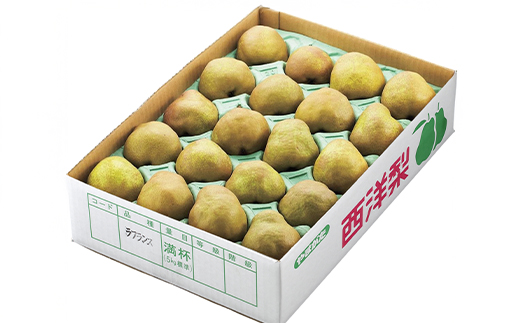 先行予約 ラ・フランス ◯秀品 約5kg(12~20個程度) 11月中旬~12月中旬頃発送 山形県産 フルーツ 果物 くだもの ラフランス 洋梨 西洋梨 令和8年産 2026年産 佐竹物産 sb-lamsx5-b 令和8年産 ◯秀品 約5kg(寄附額12,000円)
