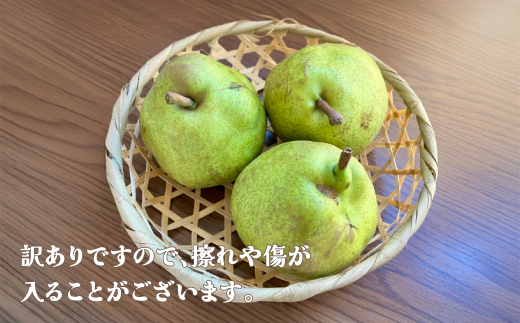 先行予約 訳あり ラ・フランス 約5kg (10~20個程度) 無印品 11月上旬~下旬頃発送 山形県産 フルーツ 果物 くだもの 令和8年産 2026年産 佐竹物産 sb-laxxw5-b 令和8年産 訳あり 無印品 約5kg(寄附額11,000円)