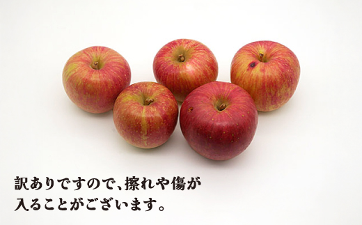 先行予約 訳あり りんご サンふじりんご 5kg 無印品 11月中旬頃~12月中旬頃発送 令和8年産 2026年産 山形県産  フルーツ 果物 佐竹物産 sb-risfw5-b