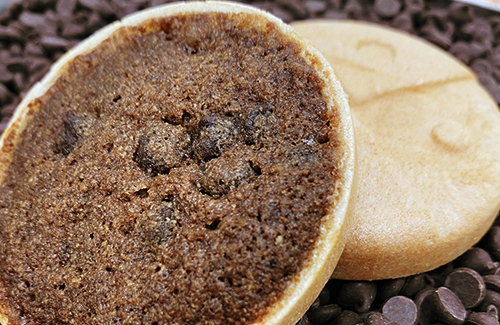 お菓子 スイーツ  クッキー 和菓子 やまがたワッショイ チョコ 10枚入うろこや 総本店 送料無料 us-swywc10 チョコ10枚入（寄附額8,000円）