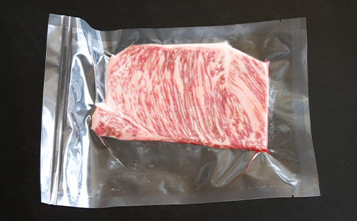 尾花沢牛 A4-5 サーロインステーキ 120g×4枚 計480g 牛肉  牛肉 黒毛和牛 国産 山形牛 nj-ogsxt120x4 120g×4枚(寄附額28,000円)