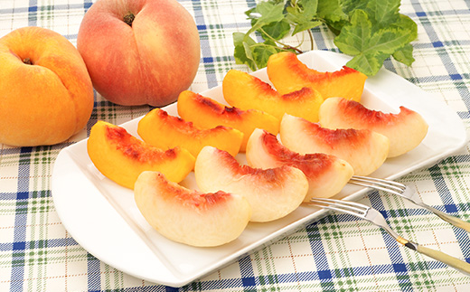 先行予約 もも 白桃 有袋黄桃 秀品 詰め合わせ 品種おまかせ 3kg  化粧箱入 フルーツ 果物 アソート 2026年産 令和8年産 山形県産 ns-mohot3-b 白桃&黄桃3kg(寄附額16,000円)