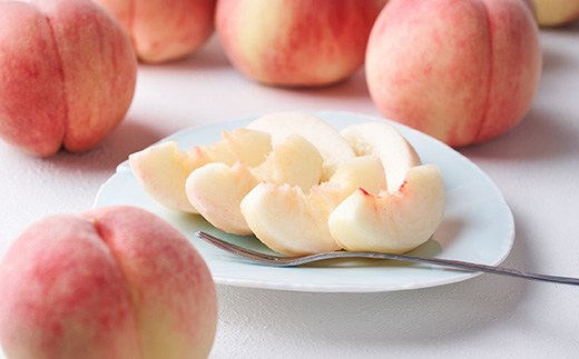 先行予約 もも 白桃 秀品 品種おまかせ 5kg  化粧箱入 フルーツ 果物 2026年産 令和8年産 山形県産 ns-mohtx5-b 白桃5kg(寄附額22,000円)