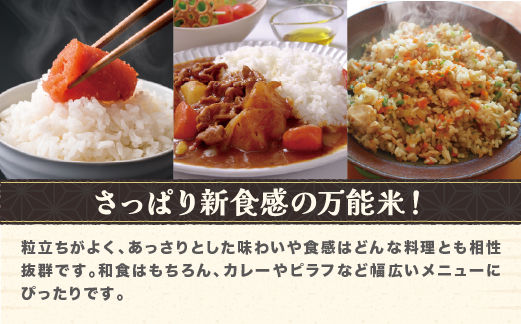 令和7年産 新米 玄米 雪若丸 10kg 配送時期選べる 1月下旬~4月下旬発送 2025年産 米 お米 国産 山形県 尾花沢市 ja-ywgxa10 玄米10kg（寄附額24,000円）