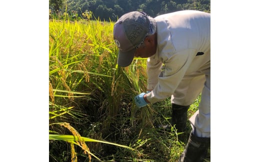 尾花沢産 ハセ架け もち米 ヒメノモチ 1kg 餅米 米 kb-mkhmx1000