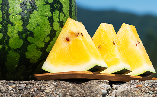 先行予約 尾花沢産スイカ満喫定期便 金色羅皇 全3回 7月中旬～8月中旬頃発送 2026年産 令和8年産 kb-tksux