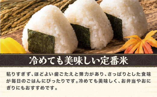 新米 米 無洗米 2kg はえぬき 令和7年産 2025年産 山形県 尾花沢市産 送料無料 kg-hamxa2