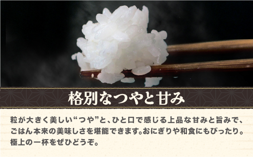 令和7年産 新米 精米 つや姫 10kg 5kg×2袋 2025年産 米 お米 国産 山形県 尾花沢市 kn-tssxa10