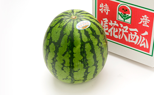 先行予約 フルーツ定期便 全5回 さくらんぼ 佐藤錦 尾花沢スイカ 桃 ラ・フランス りんご 令和8年産 2026年産 2026年6月~発送開始 サクランボ すいか 西瓜 桃 洋梨 梨 ラフランス リンゴ フルーツ 果物 定期便 お楽しみ 頒布会 ns-ft5xx-s-b