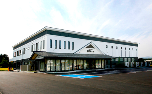 お菓子 スイーツ チーズケーキ チョコレート ケーキ 洋菓子 はんじゅくチーズケーキ ショコラチーズ 10個入 うろこや 総本店 送料無料 us-swccc10