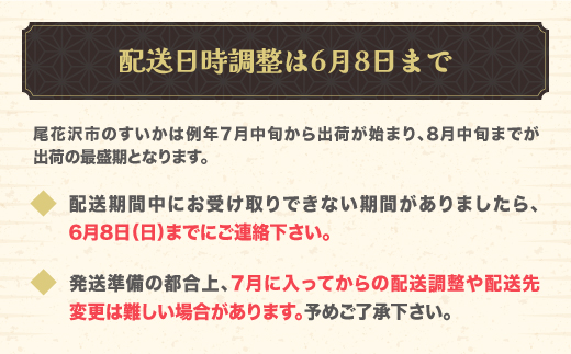 先行予約 尾花沢産 すいか 5Lサイズ 約10kg×2玉 7月中旬～8月中旬頃発送 令和8年産 2026年産 農産加工 スイカ 西瓜 ※沖縄・離島への配送不可 nk-su5xx2 5Lサイズ2玉（寄附額25,000円）
