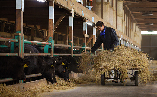 尾花沢牛 A4-5  モモ ステーキ 80g×2枚 計160g 牛肉 黒毛和牛 国産 山形牛 nj-ogmxt80x2 80g×2枚(寄附額10,000円)