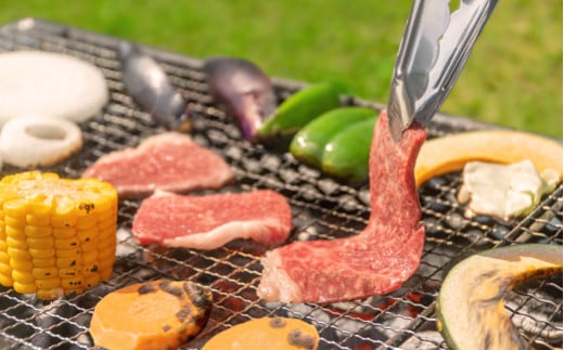 【定期便】雪降り和牛尾花沢定期便 MIXコース（ 焼肉 / すき焼き / しゃぶしゃぶ / ステーキ ）全4回 選べる開始月 尾花沢牛 山形牛 国産牛 黒毛和牛 牛肉 お肉 冷凍 ja-tkmix4 MIXコース 寄附額150,000円