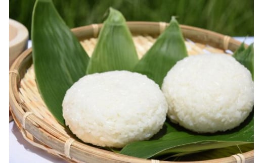 先行予約 精米 10kg 5kg×2 令和8年産 棚田米 雪きらり 尾花沢市中刈産 ng-yksxx10 精米10kg（寄附額：27,000円）