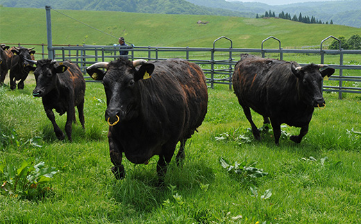 尾花沢牛 A4-5  モモ ステーキ 80g×2枚 計160g 牛肉 黒毛和牛 国産 山形牛 nj-ogmxt80x2 80g×2枚(寄附額10,000円)