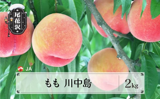 先行予約 もも 川中島 約2kg(約6〜8玉) ◯秀以上 2026年産 令和8年産 8月中旬～9月上旬頃発送 桃 白桃 モモ 果物 フルーツ 山形県産 送料無料 ※沖縄・離島への配送不可 ja-moknx2-b