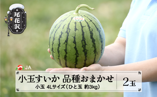 先行予約 尾花沢産小玉すいか 品種おまかせ ひとりじめ もしくは ピノガール 4Lサイズ 約3kg×2玉 7月中旬～7月下旬頃発送 2026年産 令和8年産 小玉 すいか スイカ 西瓜 果物 フルーツ 産地直送 山形県 尾花沢市 JA ja-suk4x2