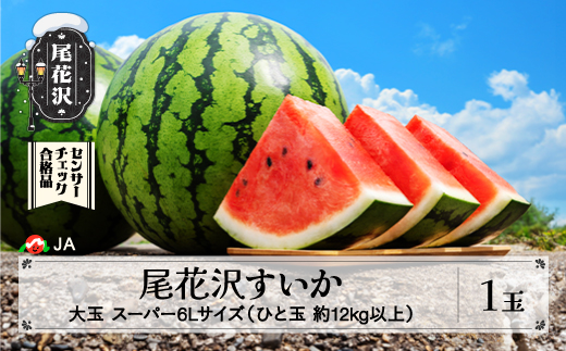 先行予約 尾花沢すいか スーパー6Lサイズ 約12kg以上×1玉 8月1日～8月10日頃発送 2026年産 令和8年産 大玉 すいか スイカ 西瓜 果物 フルーツ 産地直送 山形県 尾花沢市 JA ja-sus6x1