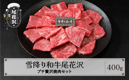 雪降り和牛尾花沢 焼肉セット ロース・カタ・モモ・カルビ 400g 尾花沢牛肉まつりプチ贅沢焼肉セット 山形牛 国産牛 黒毛和牛 雪降り和牛 肉 お肉 ブランド牛 焼肉 焼き肉 食べ比べ 冷凍 高級 贅沢 バーベキュー 送料無料 ja-yomyx400 焼肉セット 400g
