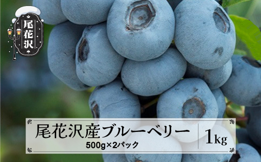 尾花沢産とれたて完熟ブルーベリー 生果実 1kg 500g×2パック 7月中旬~下旬頃発送 令和8年産 2026年産 山形県 ブルーベリー 果物 フルーツ 産地直送 kb-bbxxx1000
