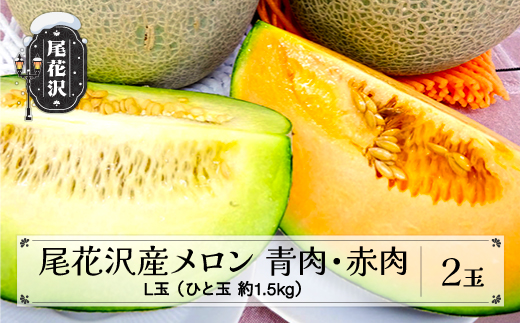 メロン 2種類 食べ比べセット 2玉 青肉・赤肉セット 7月下旬～8月上旬頃発送 令和8年産 2026年産 グレース クインシー 青肉メロン 赤肉メロン 山形県 尾花沢市 観光物産 kb-mlrbx2