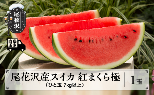 先行予約 尾花沢産スイカ 紅まくら 極 きわみ 2Lサイズ(7kg)以上 1玉 7月下旬～順次発送 令和8年産 2026年産 尾花沢産 スイカ すいか 西瓜 果物 くだもの フルーツ 観光物産 kb-submk1