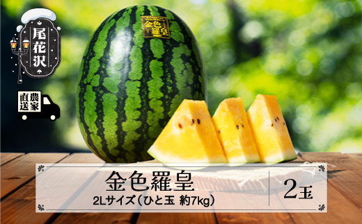 先行予約 金色羅皇 こんじきらおう 尾花沢産スイカ 2Lサイズ 約7kg×2玉 7月下旬～8月中旬頃発送 令和8年産 2026年産 観光物産 kb-sukr22 2Lサイズ2玉：寄附額25,000円