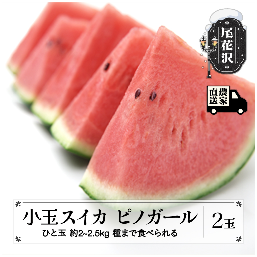 タネまで食べられる小玉スイカ  ピノガール (約2~2.5kg)×2玉 7月中旬～8月上旬頃発送 尾花沢産 スイカ すいか 西瓜 令和8年産 2026年産 観光物産 kb-supgx2