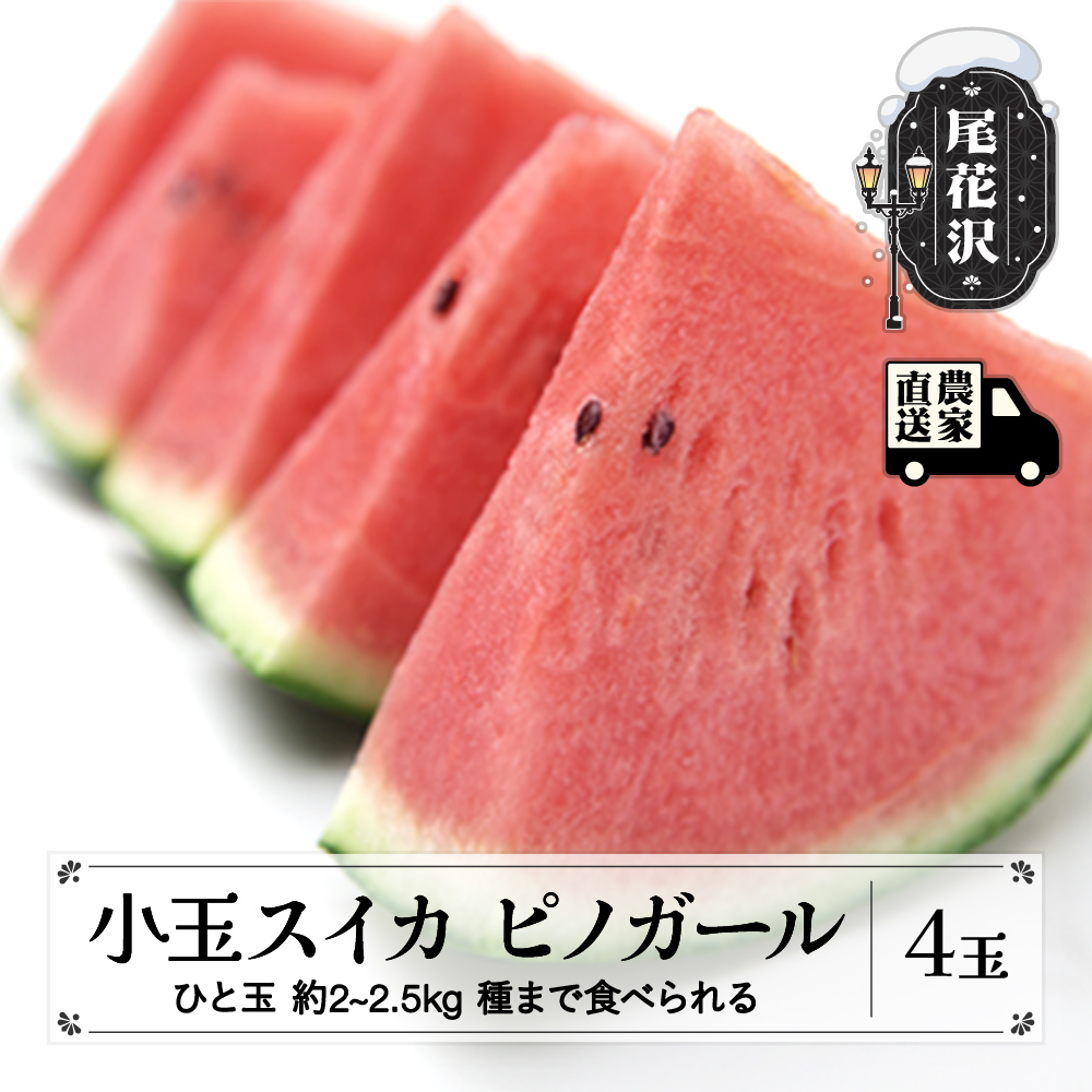 タネまで食べられる小玉スイカ  ピノガール (約2~2.5kg)×4玉 7月中旬～8月上旬頃発送 尾花沢産 スイカ すいか 西瓜 令和8年産 2026年産 観光物産 kb-supgx4