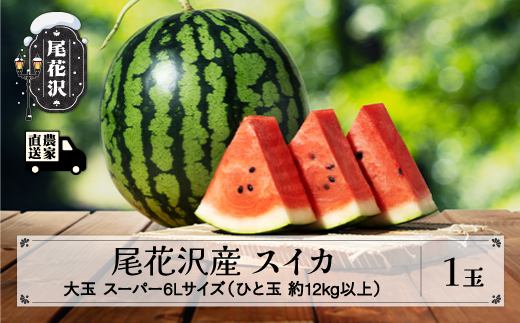 先行予約 尾花沢産スイカ スーパー6Lサイズ 約12kg以上×1玉 7月下旬～8月中旬頃発送 令和8年産 2026年産 尾花沢産 スイカ すいか 西瓜 果物 くだもの フルーツ 観光物産 kb-sus6x1