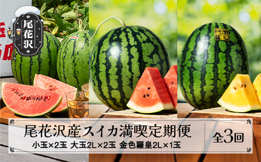 先行予約 尾花沢産スイカ満喫定期便 金色羅皇 全3回 7月中旬～8月中旬頃発送 2026年産 令和8年産 kb-tksux