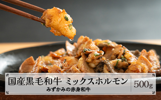 みずかみの赤身和牛 ミックスホルモン 500g mz-wgmhx500 ミックスホルモン約500g(寄附額13000円)