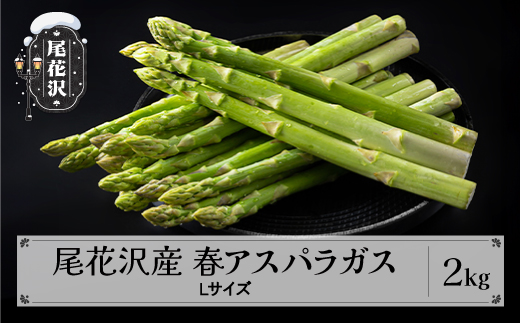 尾花沢産春アスパラガス Lサイズ 2kg 令和8年産 2026年産  アスパラ アスパラガス グリーンアスパラガス nd-vga1x2 Lサイズ2kg(寄附額20,000円)