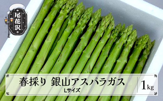 春採り 銀山アスパラガス Lサイズ 1kg 2026年産 令和8年産 山形県尾花沢市 アスパラ アスパラガス 銀山アスパラ グリーンアスパラガス nk-vga1x1 Lサイズ1kg（12,000円）