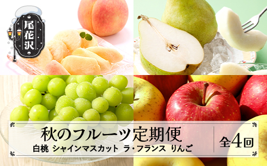 全4回 山形 秋のフルーツ定期便 白桃 シャインマスカット ラ・フランス りんご 令和7年産 2025年産 山形県産 ns-ft4xx