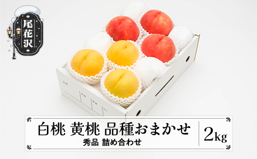 先行予約 もも 白桃 有袋黄桃 秀品 詰め合わせ 品種おまかせ 2kg  化粧箱入 フルーツ 果物 アソート 2026年産 令和8年産 山形県産 ns-mohot2-b 白桃&黄桃2kg(寄附額13,000円)