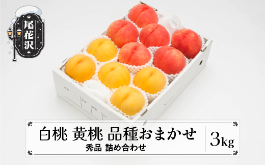 先行予約 もも 白桃 有袋黄桃 秀品 詰め合わせ 品種おまかせ 3kg  化粧箱入 フルーツ 果物 アソート 2026年産 令和8年産 山形県産 ns-mohot3-b 白桃&黄桃3kg(寄附額16,000円)