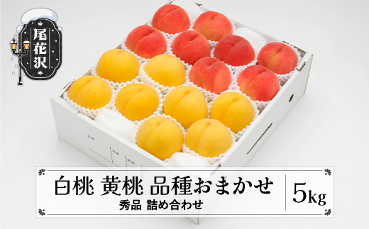先行予約 もも 白桃 有袋黄桃 秀品 詰め合わせ 品種おまかせ 5kg  化粧箱入 フルーツ 果物 アソート 2026年産 令和8年産 山形県産 ns-mohot5-b 白桃&黄桃5kg(寄附額23,000円)