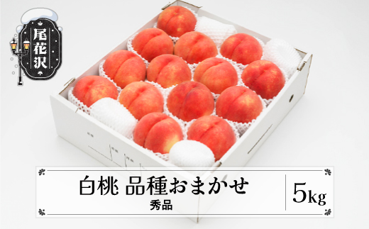 先行予約 もも 白桃 秀品 品種おまかせ 5kg  化粧箱入 フルーツ 果物 2026年産 令和8年産 山形県産 ns-mohtx5-b 白桃5kg(寄附額22,000円)