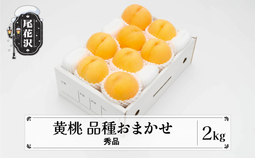 先行予約 もも 有袋黄桃 秀品 品種おまかせ 2kg  化粧箱入 フルーツ 果物 2026年産 令和8年産 山形県産 ns-mootx2-b 黄桃2kg(寄附額12,000円)