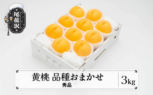 先行予約 もも 有袋黄桃 秀品 品種おまかせ 3kg  化粧箱入 フルーツ 果物 2026年産 令和8年産 山形県産 ns-mootx3-b 黄桃3kg(寄附額15,000円)