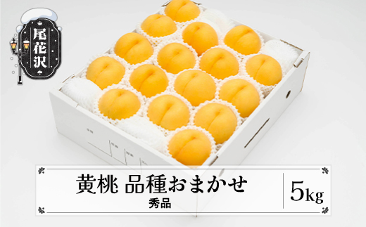 先行予約 もも 有袋黄桃 秀品 品種おまかせ 5kg  化粧箱入 フルーツ 果物 2026年産 令和8年産 山形県産 ns-mootx5-b 黄桃5kg(寄附額23,000円)