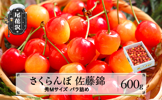 先行予約 さくらんぼ 佐藤錦 秀Mサイズ 600g(600g×1箱)  バラ詰め 2026年産  令和8年産 山形県産 ns-snsmb600